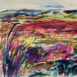 Fundraising Page: Melissa Johnson